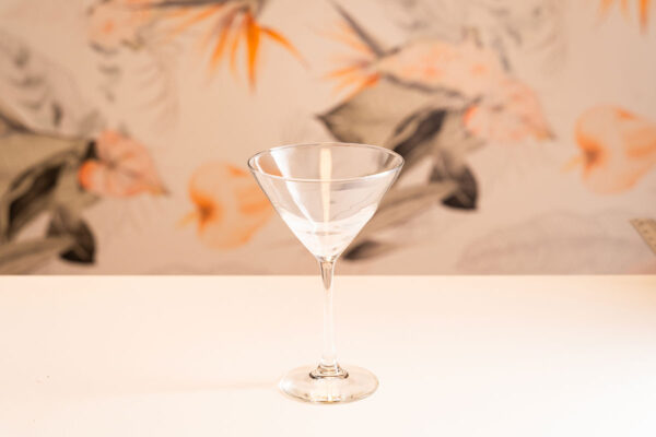 Etched martini glass rental, Orlando events.