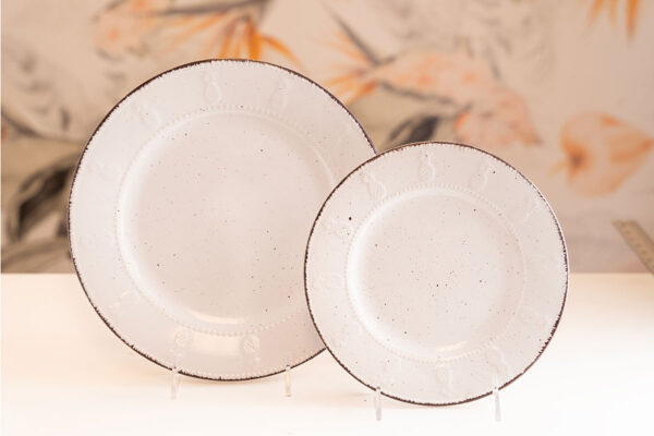 Eventus Orlando Rental Speckled Rim Plates